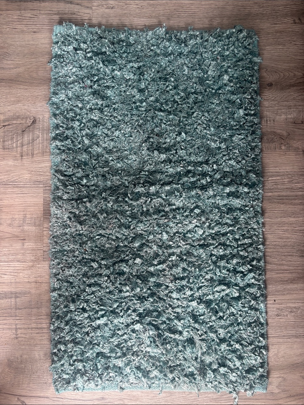 Plush Shag Area Rug - Teal Green